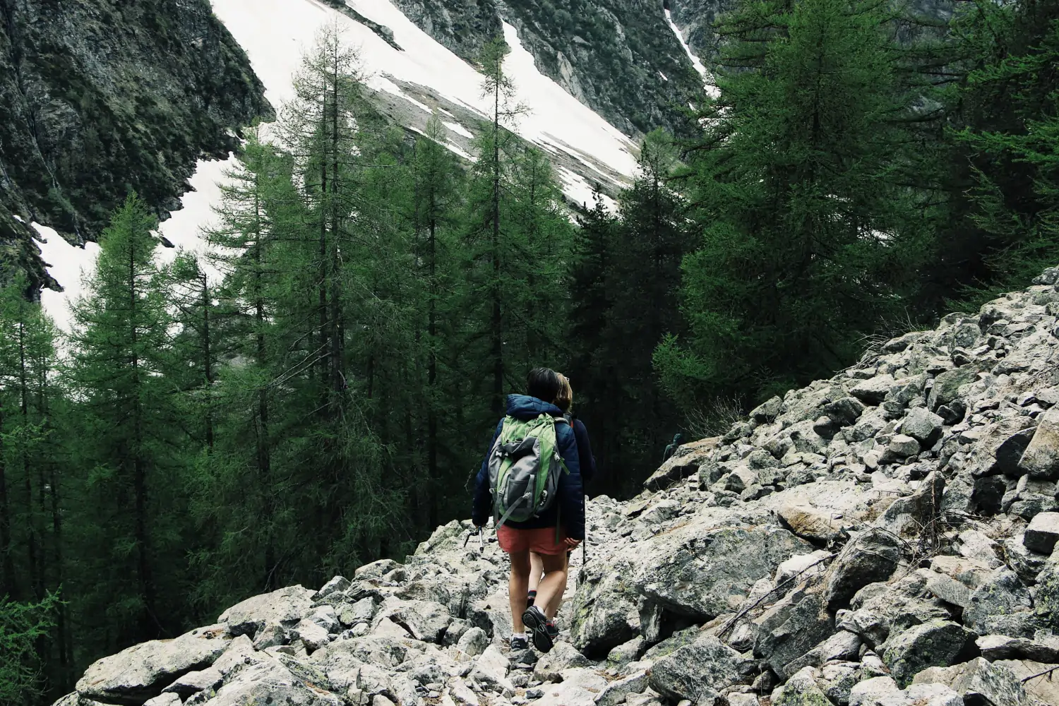 wide-shot-tourists-hiking-rocky-hill-surrounded-by-green-pine-trees