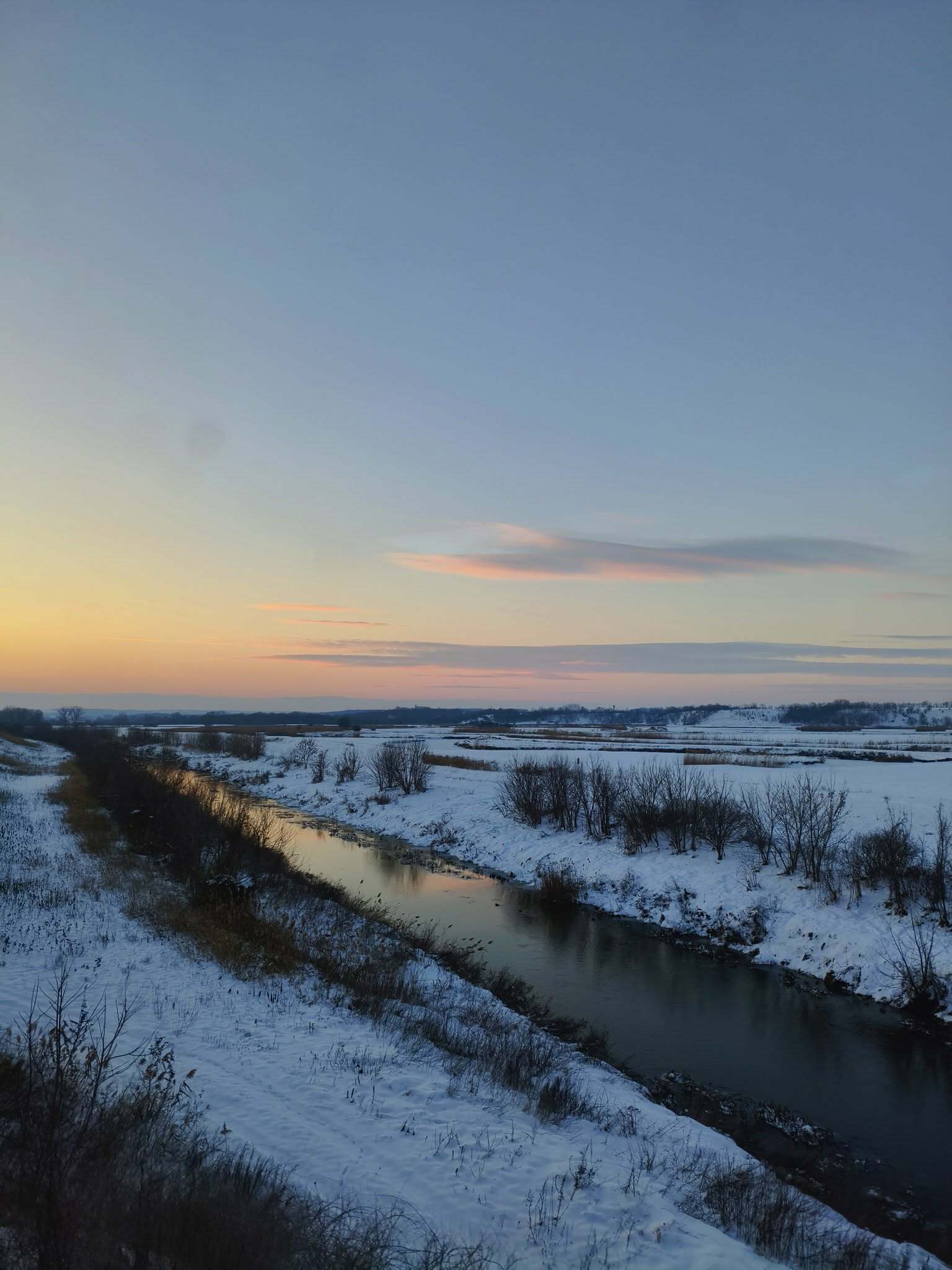 Snowy landscape