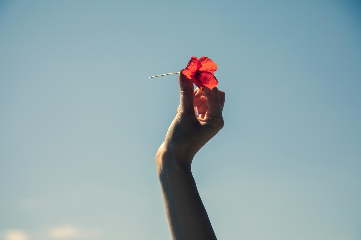 Flower in a hand raised in the air