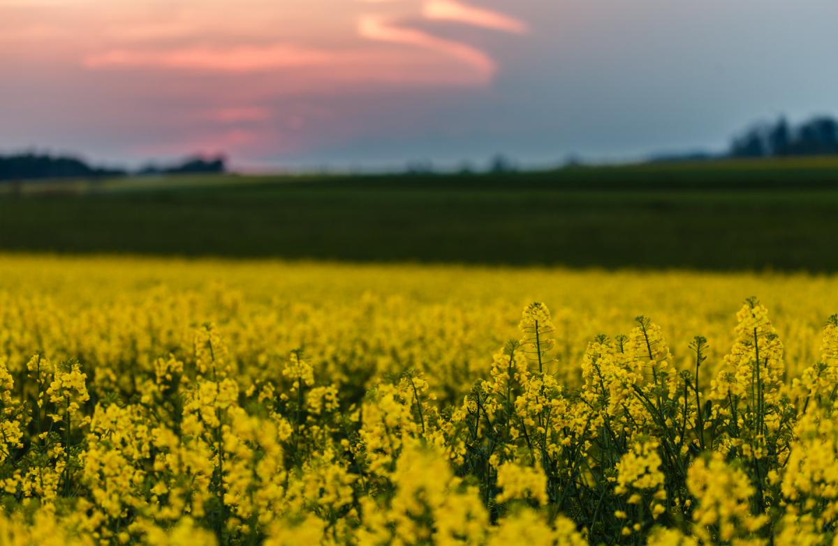 Waldviertel, Austria