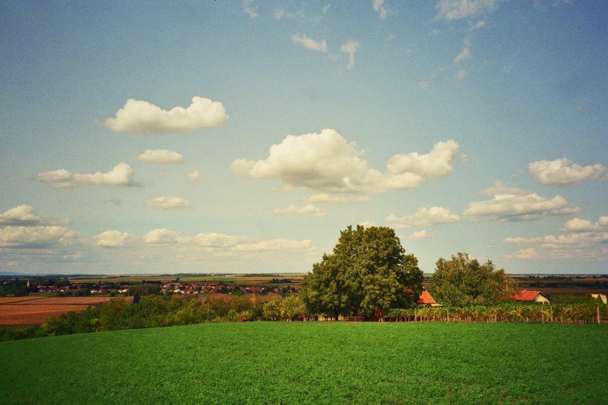 Slavonija i Baranja, Croatia