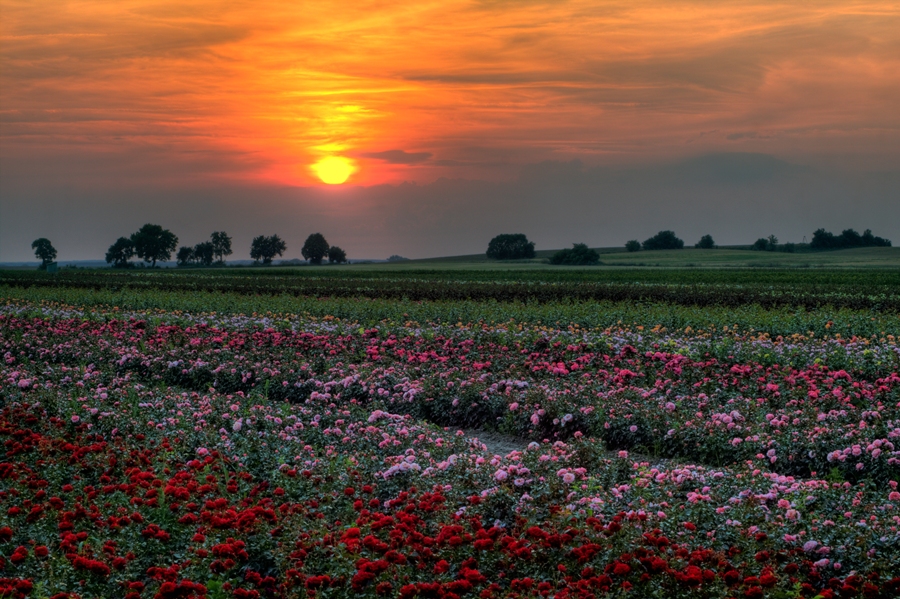 Wielkopolska, Poland