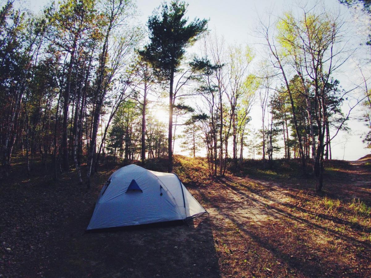 tent in wood