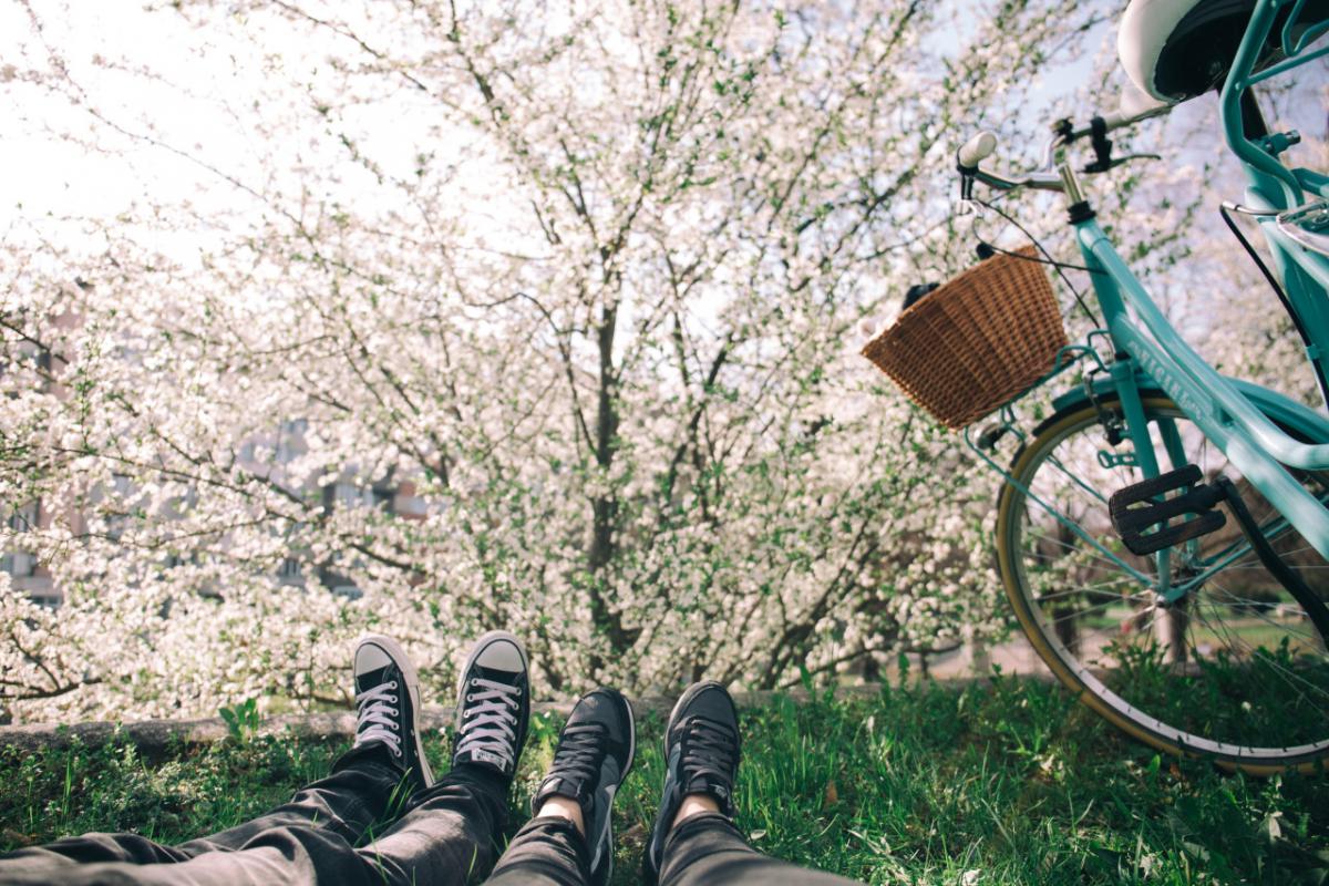tree, bike, shoes on the grass