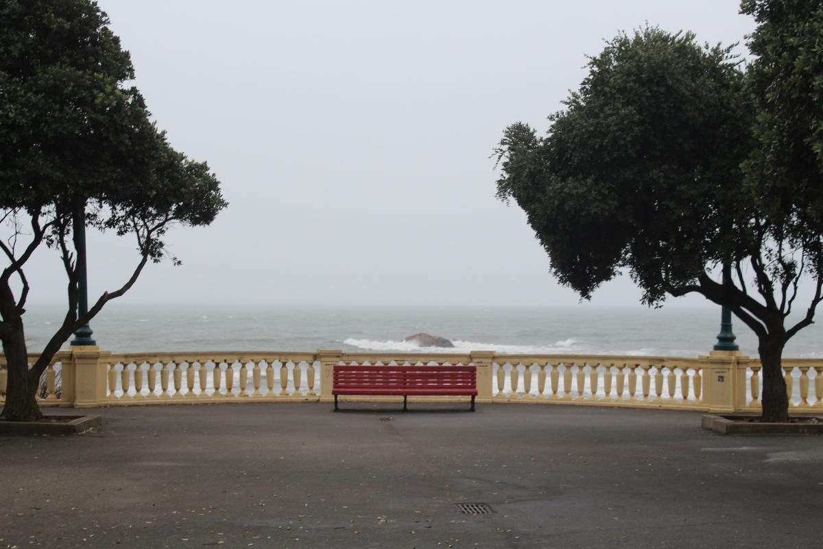 bench with trees around, water in the background