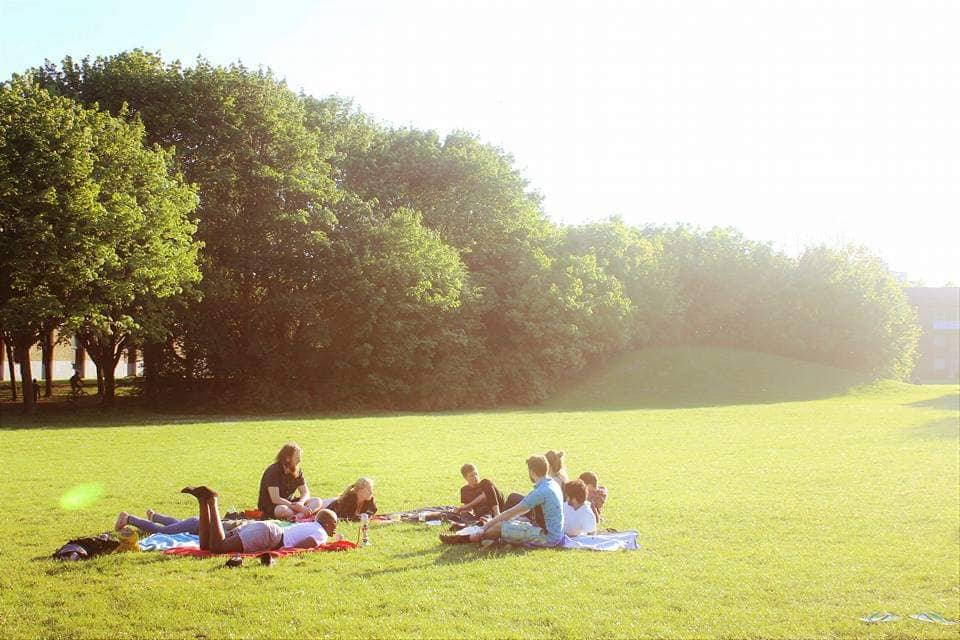 friends in park on sunny day