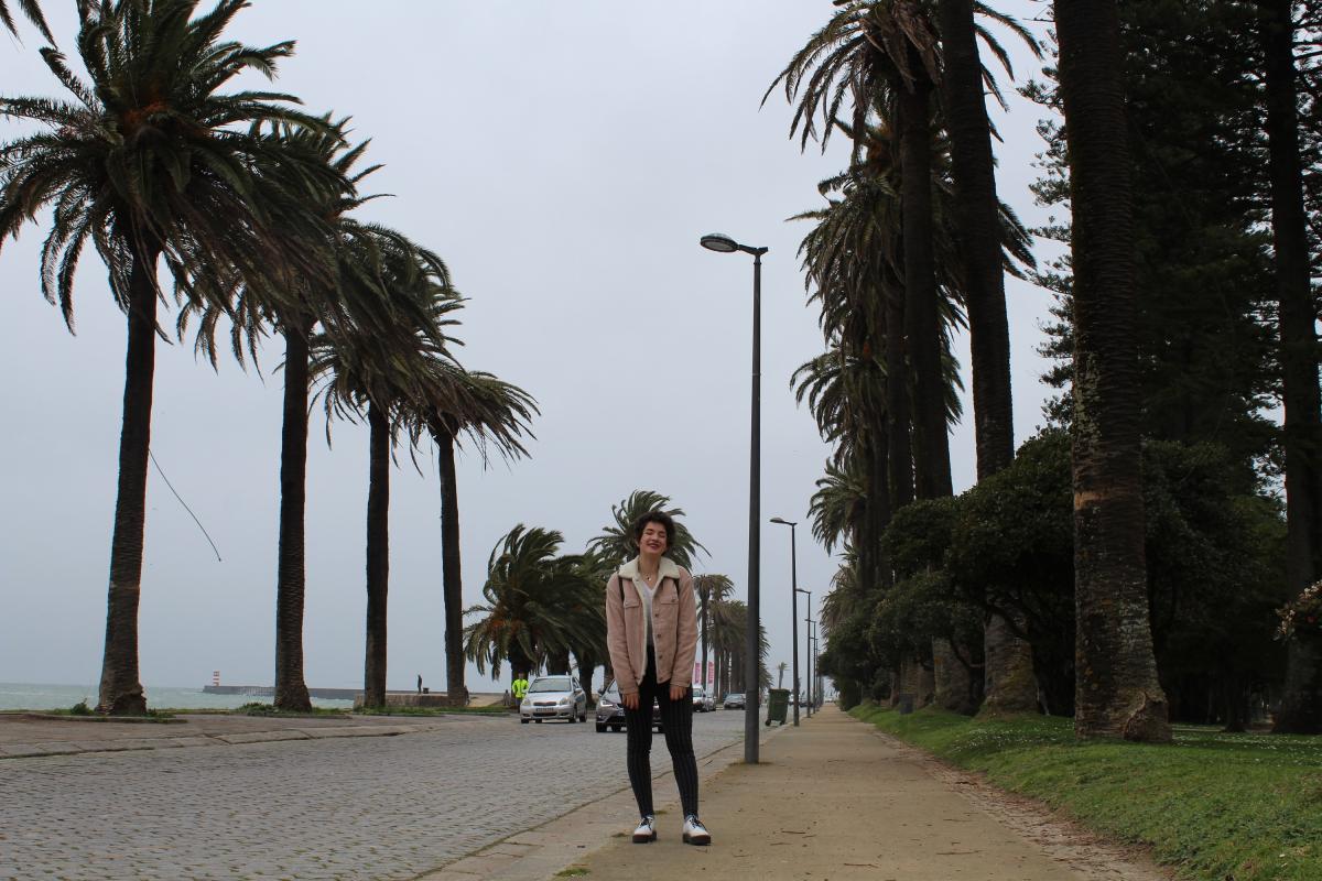 next to the sea, posing in the streets, trees on the side