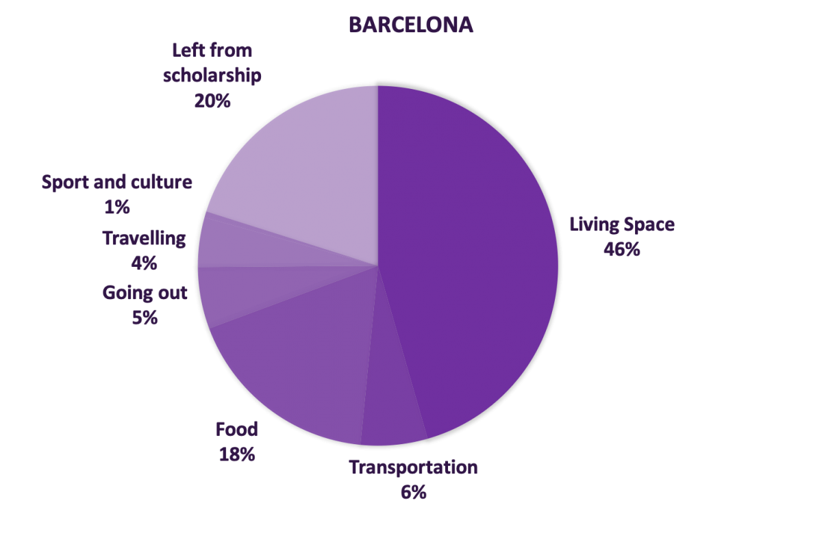 expenses by category pie chart