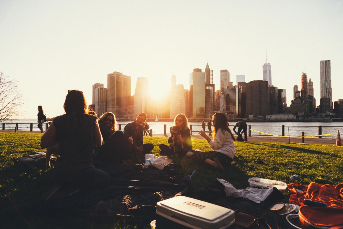 people sitting in park