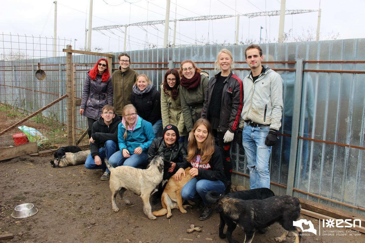 dog shelter visit