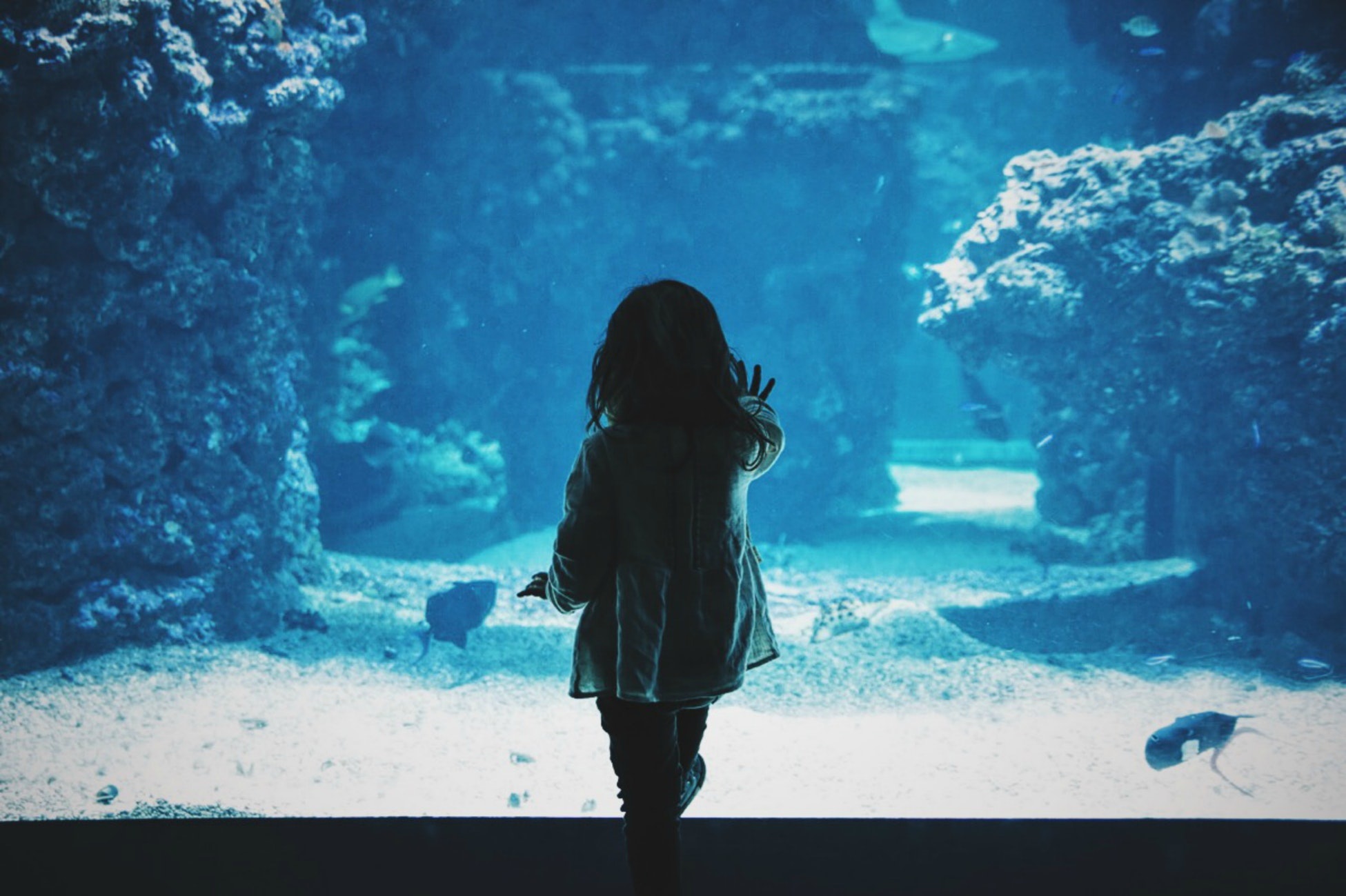 girl at the aquerium