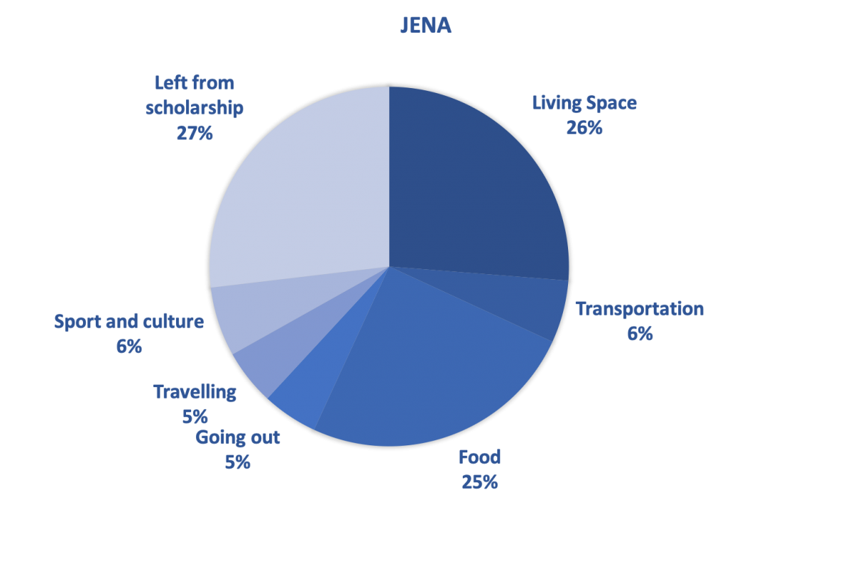 expenses by category pie chart