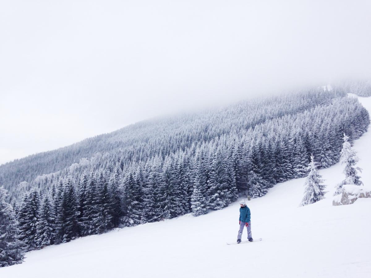 person skiing next to forest