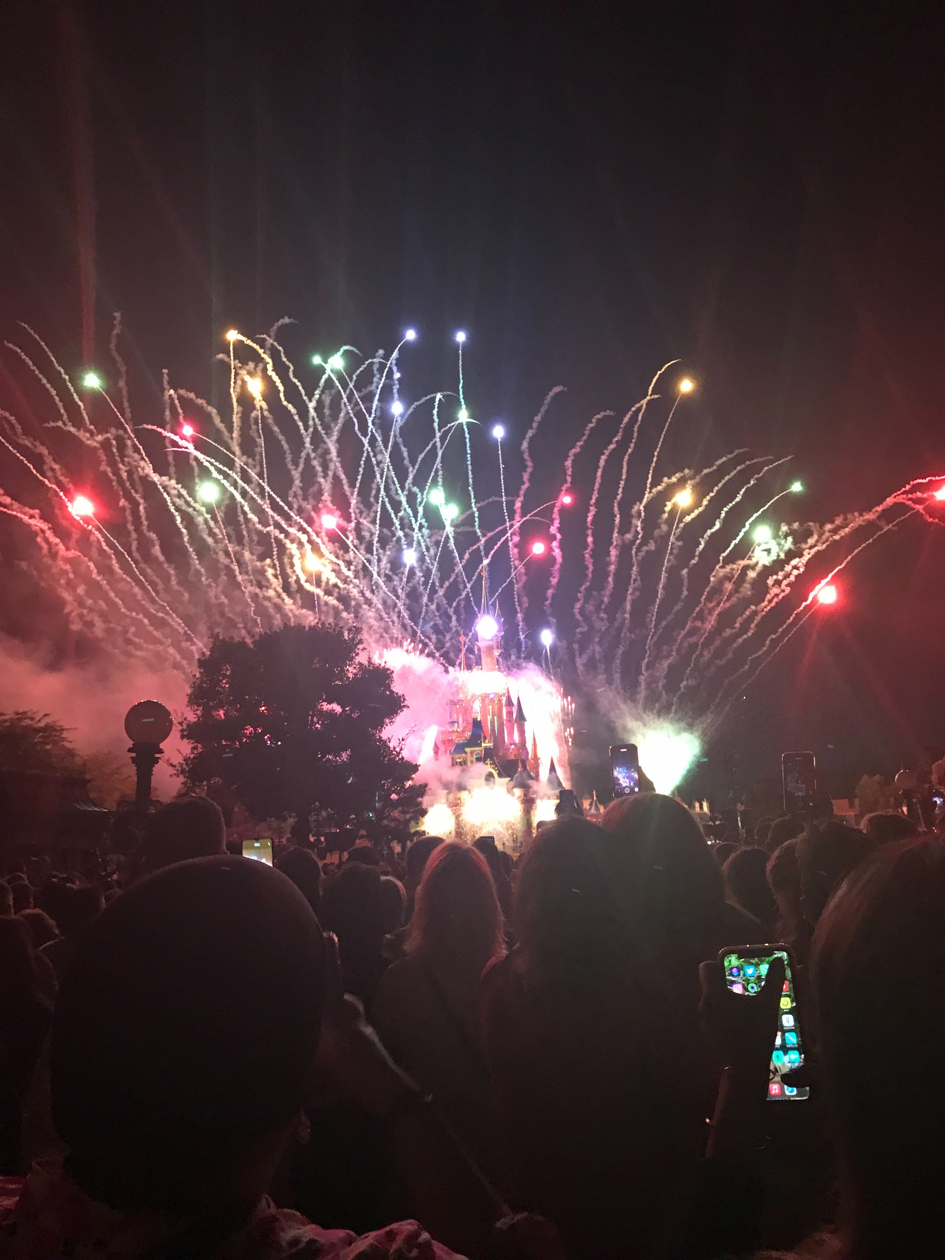 A night with fireworks and a crowd of people watching it