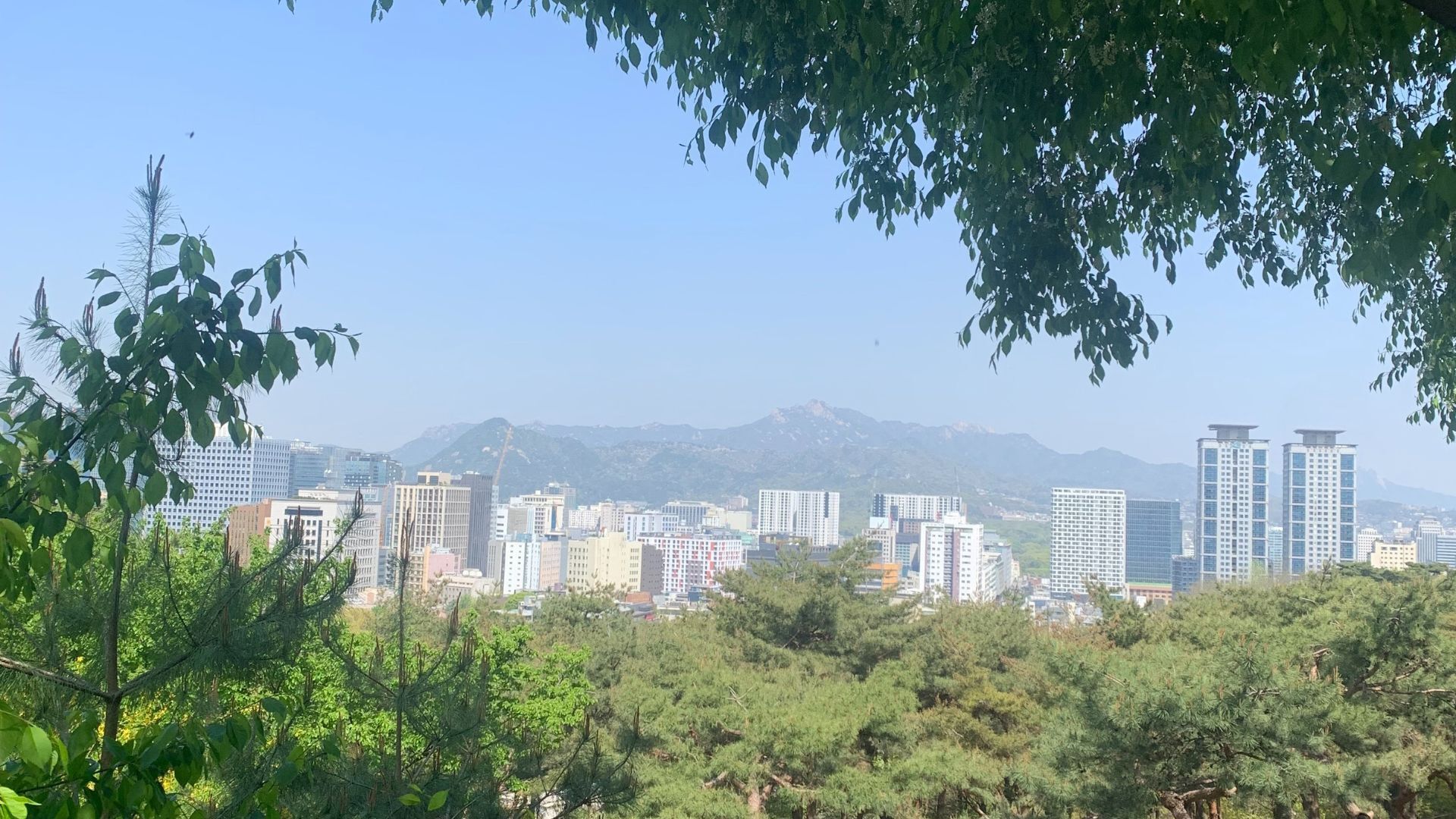 Seoul city from Namsan