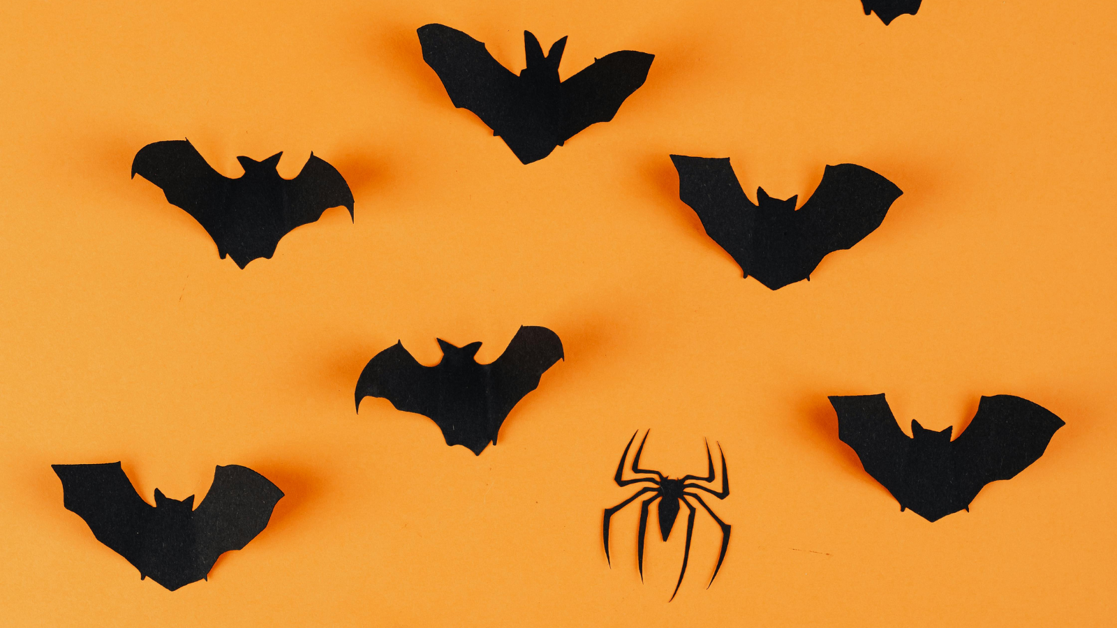 Paper bats made with black cardboard to decorate your house