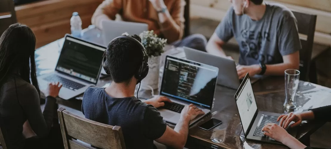 group of people using laptops