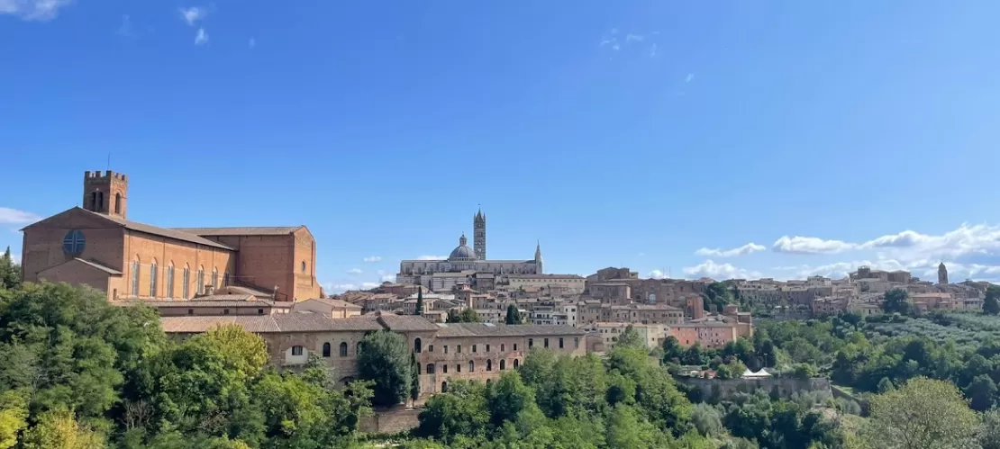 This is a landscape of Siena. In the picture you can see the church of San Dominic, the Duomo and many buildings. In the front there are also a lot of trees.