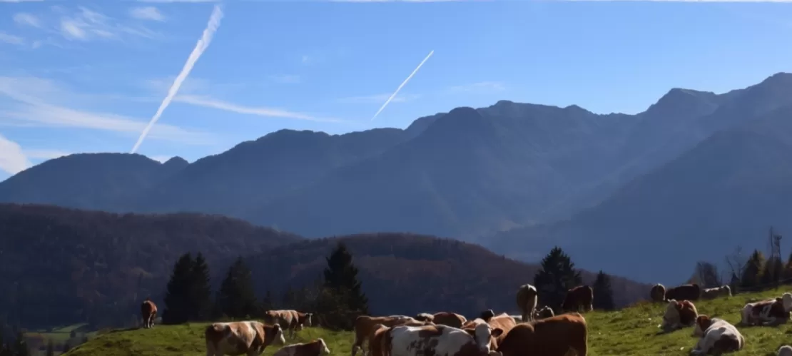 Triglav National Park