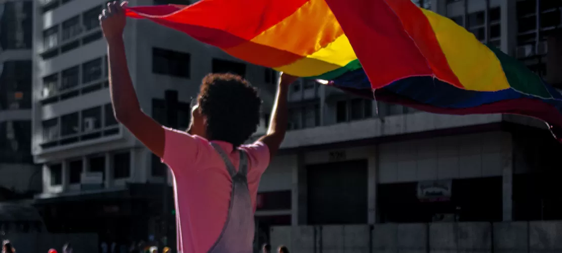 person waiving a flag