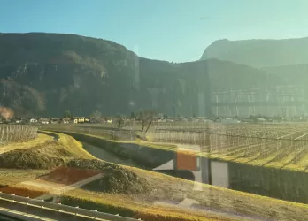 View from train 
