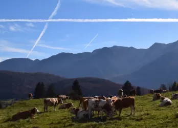 Triglav National Park