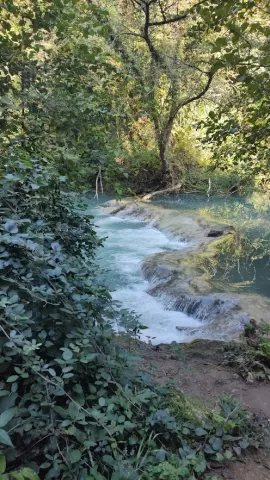 A park with a river in the middle