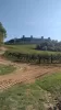 A wineyard and a sandy path with a medieval city on a hill in the background (view on the Monteriggioni)